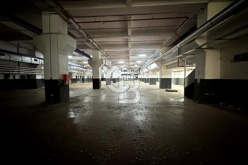 Beylikdüzü Kiralık 3000m2 Fabrika Depo Toprak Basar Vinçli Ofisl