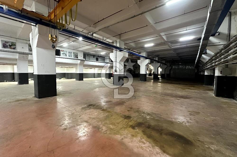 Beylikdüzü Kiralık 3000m2 Fabrika Depo Toprak Basar Vinçli Ofisl