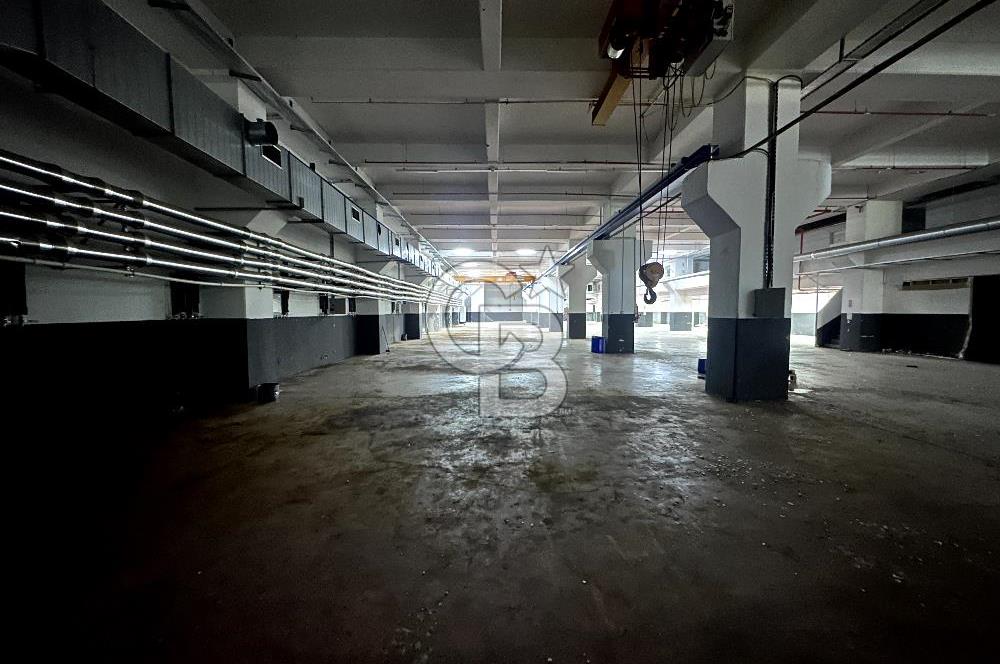 Beylikdüzü Kiralık 3000m2 Fabrika Depo Toprak Basar Vinçli Ofisl