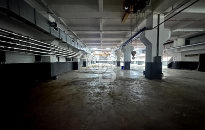 Beylikdüzü Kiralık 3000m2 Fabrika Depo Toprak Basar Vinçli Ofisl