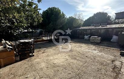 Beylikdüzü Osb Kiralık Fabrika Depo Hangar Tipi 1700m2 Vinçli