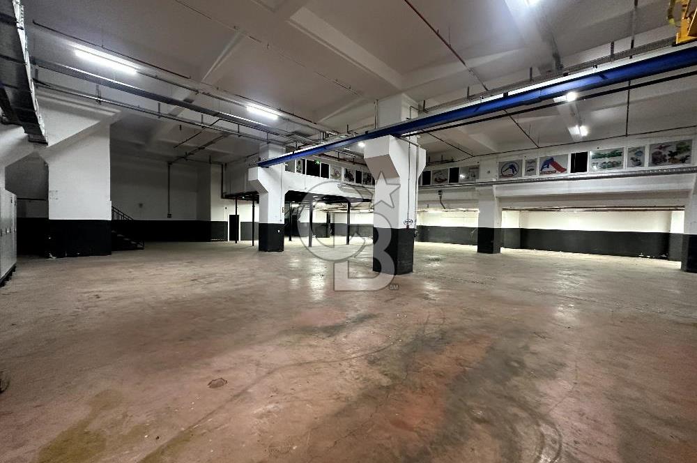 Beylikdüzü Kiralık 3000m2 Fabrika Depo Toprak Basar Vinçli Ofisl
