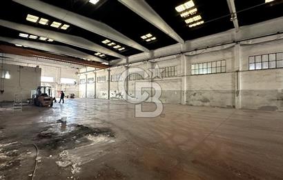 Beylikdüzü Osb Kiralık Fabrika Depo Hangar Tipi 1700m2 Vinçli