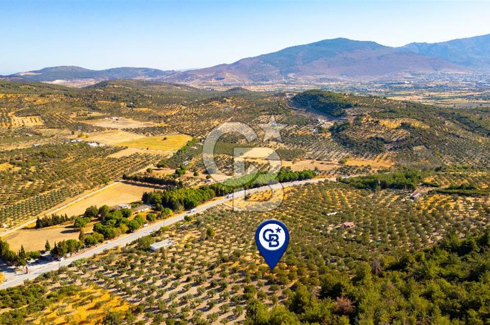 İzmir- Foça Karayolu Üzeri Satılık 2027 m2 Tarla