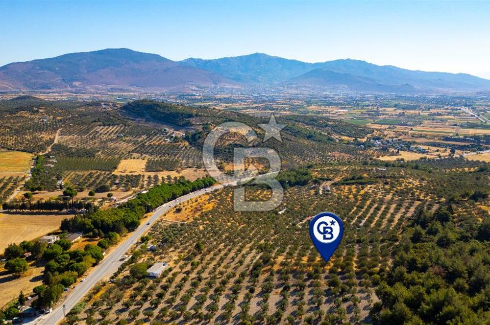 İzmir- Foça Karayolu Üzeri Satılık 2027 m2 Tarla