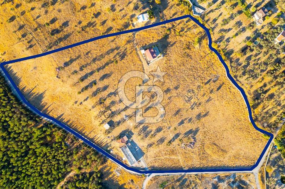 Foça Yeniköy'de Satılık 40 Dönüm Tarla