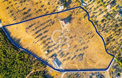 Foça Yeniköy'de Satılık 40 Dönüm Tarla
