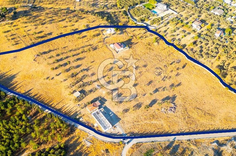 Foça Yeniköy'de Satılık 40 Dönüm Tarla