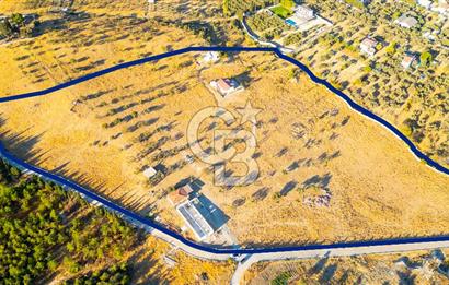 Foça Yeniköy'de Satılık 40 Dönüm Tarla