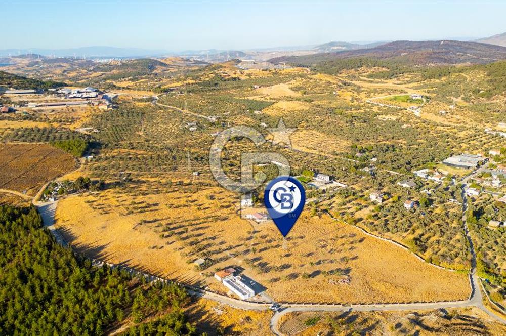 Foça Yeniköy'de Satılık 40 Dönüm Tarla