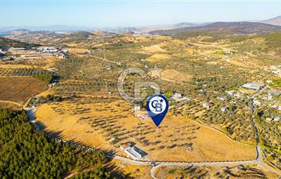 Foça Yeniköy'de Satılık 40 Dönüm Tarla