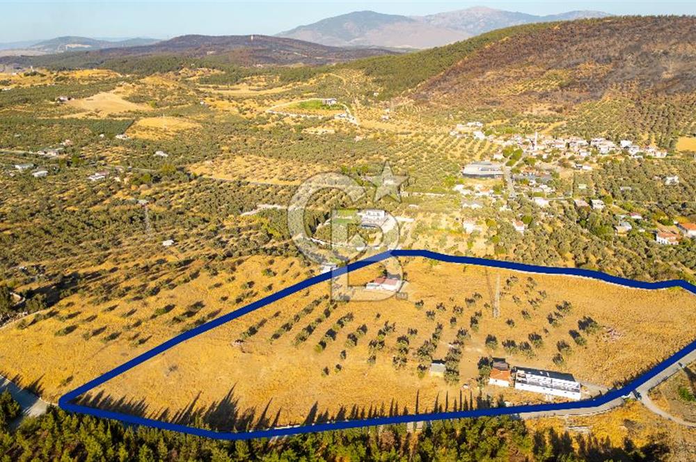 Foça Yeniköy'de Satılık 40 Dönüm Tarla