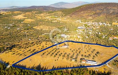 Foça Yeniköy'de Satılık 40 Dönüm Tarla