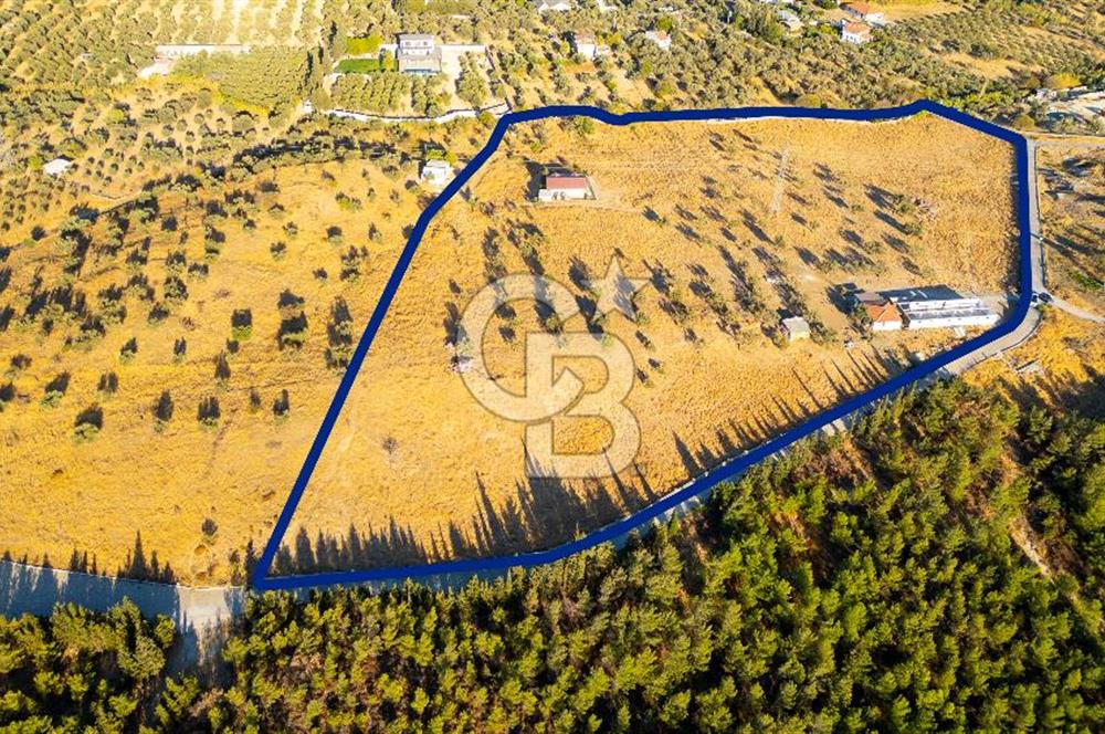Foça Yeniköy'de Satılık 40 Dönüm Tarla