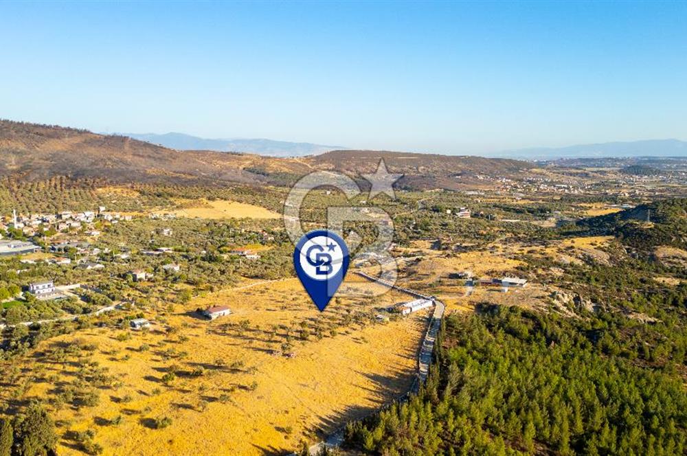 Foça Yeniköy'de Satılık 40 Dönüm Tarla
