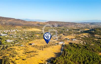 Foça Yeniköy'de Satılık 40 Dönüm Tarla