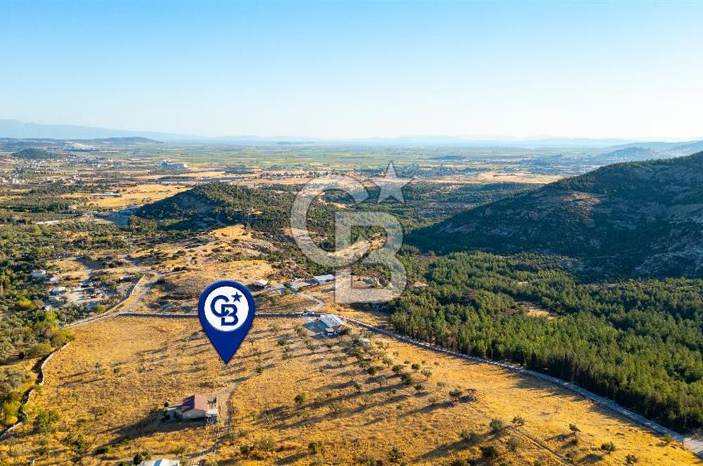 Foça Yeniköy'de Satılık 40 Dönüm Tarla