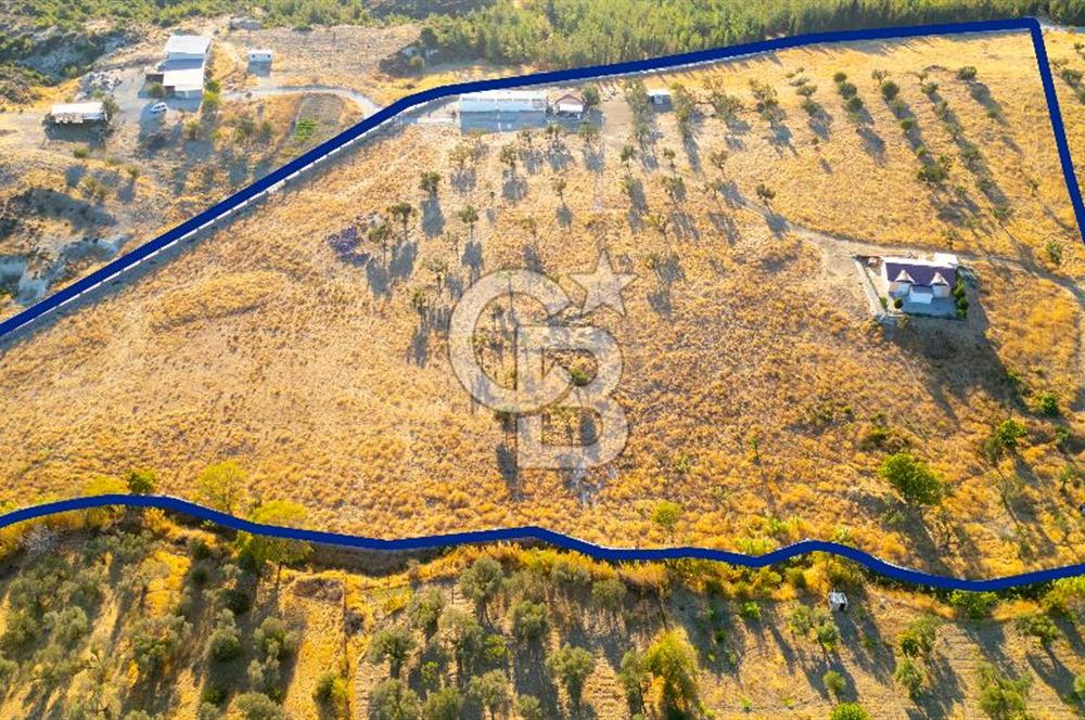 Foça Yeniköy'de Satılık 40 Dönüm Tarla