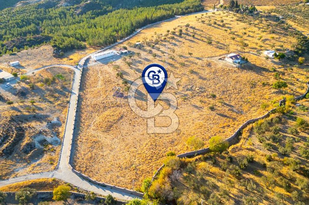 Foça Yeniköy'de Satılık 40 Dönüm Tarla