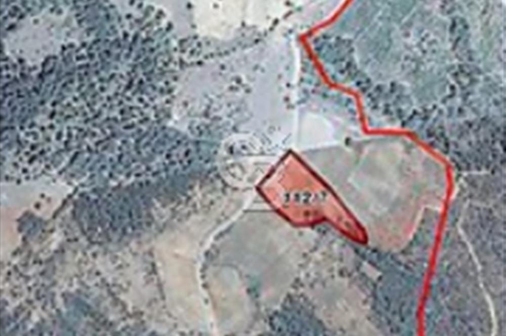 Çanakkale Bayramiç Sarıot satılık tarla
