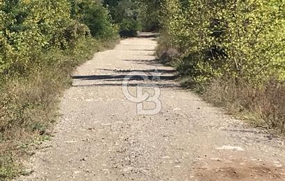 Düzce Gölyaka Aksu Satılık  Kelepir Fındık Bahçesi