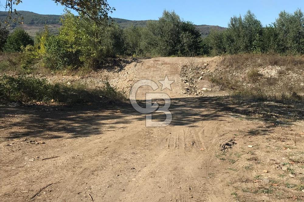 Düzce Gölyaka Aksu Satılık  Kelepir Fındık Bahçesi