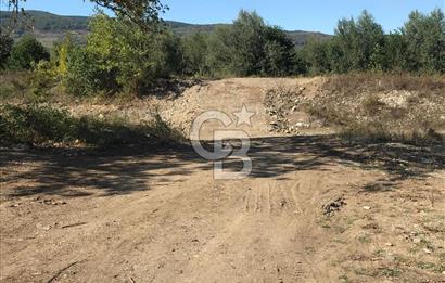 Düzce Gölyaka Aksu Satılık  Kelepir Fındık Bahçesi