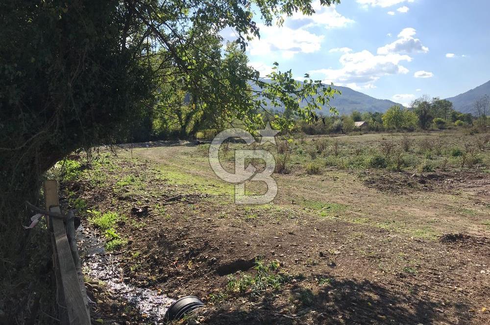 Düzce Gölyaka Aksu Satılık  Kelepir Fındık Bahçesi