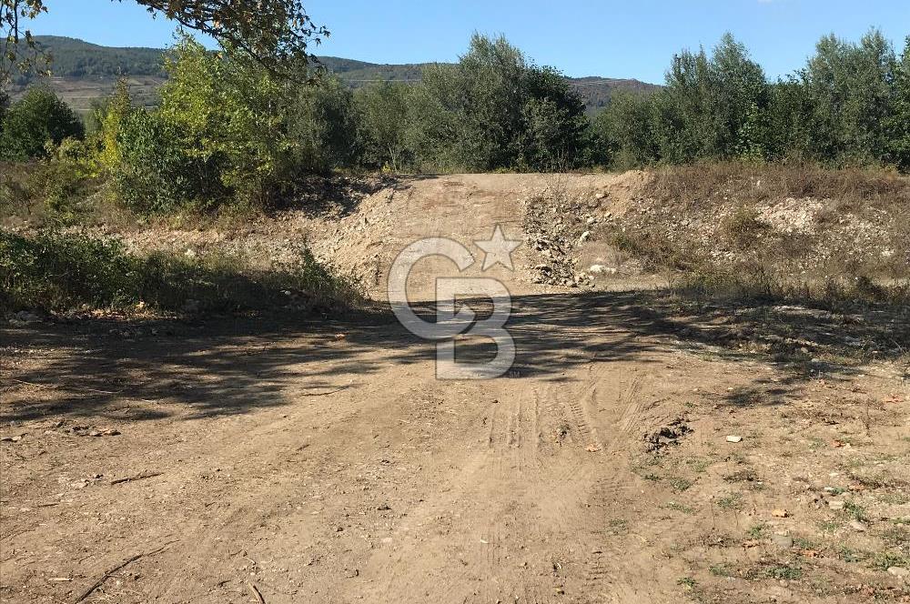 Düzce Gölyaka Aksu Satılık  Kelepir Fındık Bahçesi