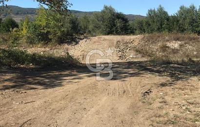 Düzce Gölyaka Aksu Satılık  Kelepir Fındık Bahçesi