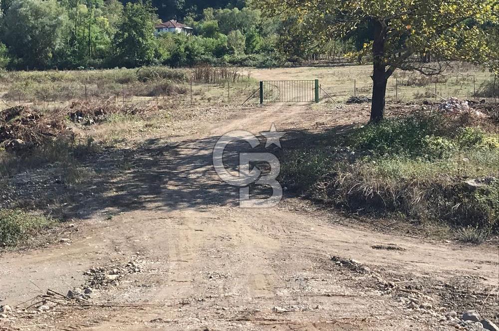 Düzce Gölyaka Aksu Satılık  Kelepir Fındık Bahçesi