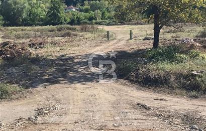 Düzce Gölyaka Aksu Satılık  Kelepir Fındık Bahçesi