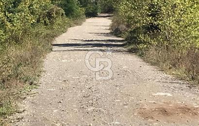 Düzce Gölyaka Aksu Satılık  Kelepir Fındık Bahçesi
