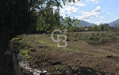Düzce Gölyaka Aksu Satılık  Kelepir Fındık Bahçesi