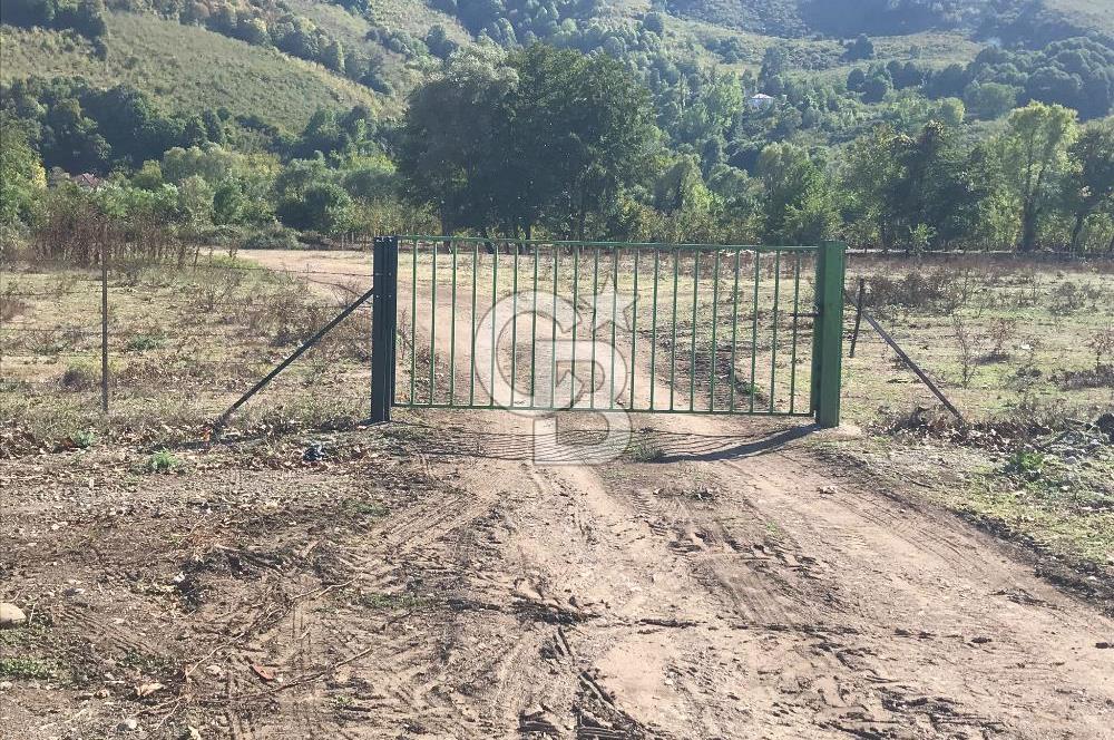 Düzce Gölyaka Aksu Satılık  Kelepir Fındık Bahçesi