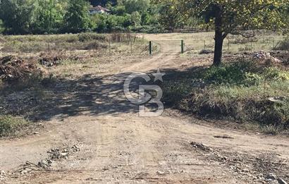 Düzce Gölyaka Aksu Satılık  Kelepir Fındık Bahçesi