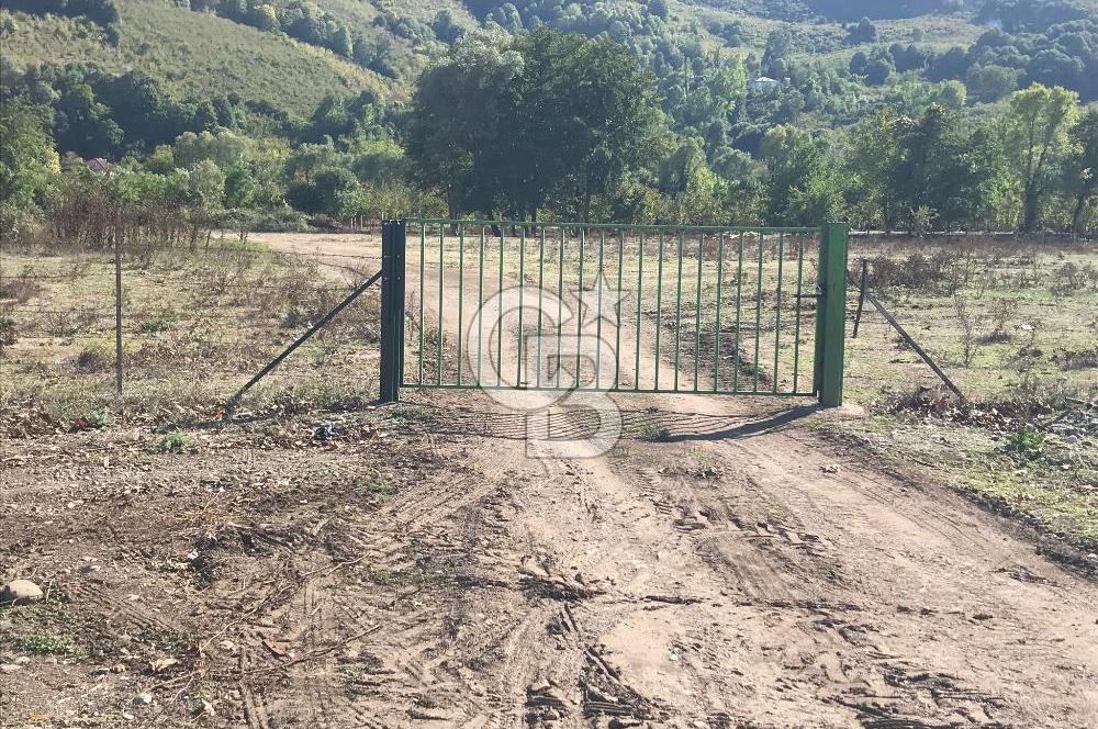 Düzce Gölyaka Aksu Satılık  Kelepir Fındık Bahçesi