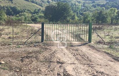 Düzce Gölyaka Aksu Satılık  Kelepir Fındık Bahçesi