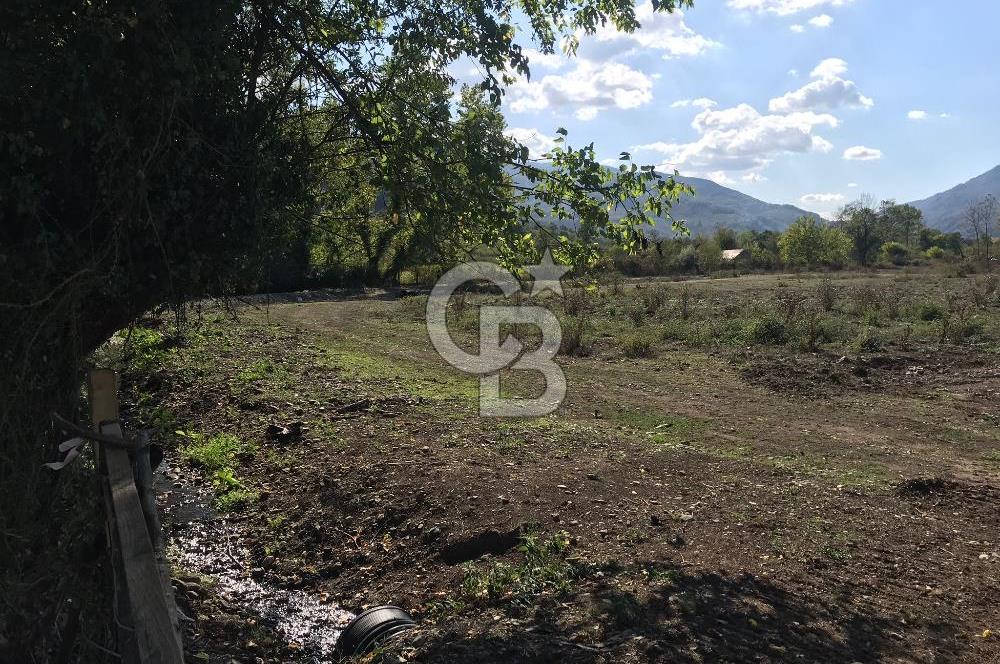 Düzce Gölyaka Aksu Satılık  Kelepir Fındık Bahçesi