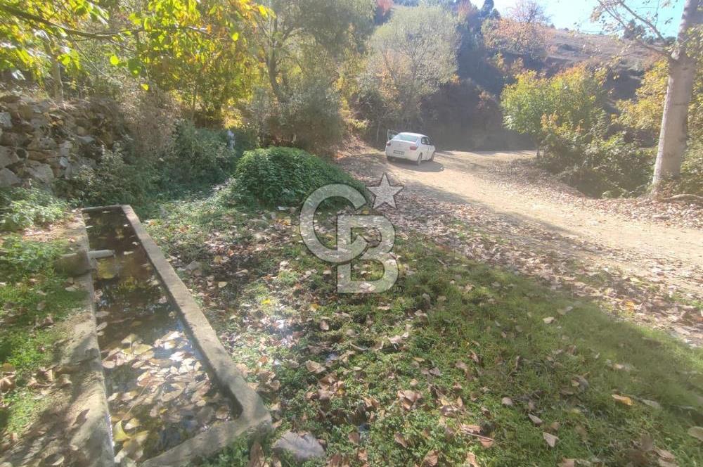 BURSA BÜYÜKORHAN SARNIÇ 5897m² YATIRIMLIK ARAZİ