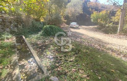 BURSA BÜYÜKORHAN SARNIÇ 5897m² YATIRIMLIK ARAZİ