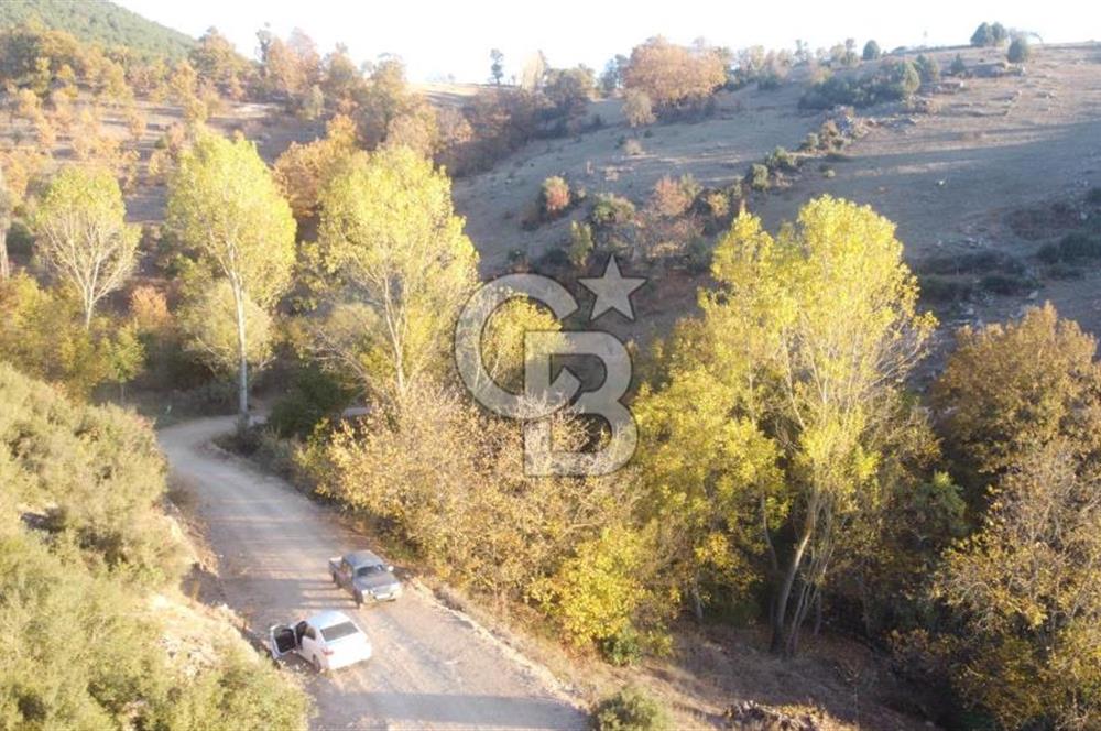 BURSA BÜYÜKORHAN SARNIÇ 5897m² YATIRIMLIK ARAZİ