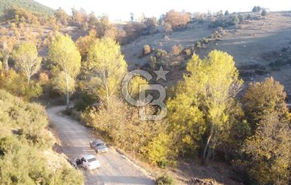 BURSA BÜYÜKORHAN SARNIÇ 5897m² YATIRIMLIK ARAZİ