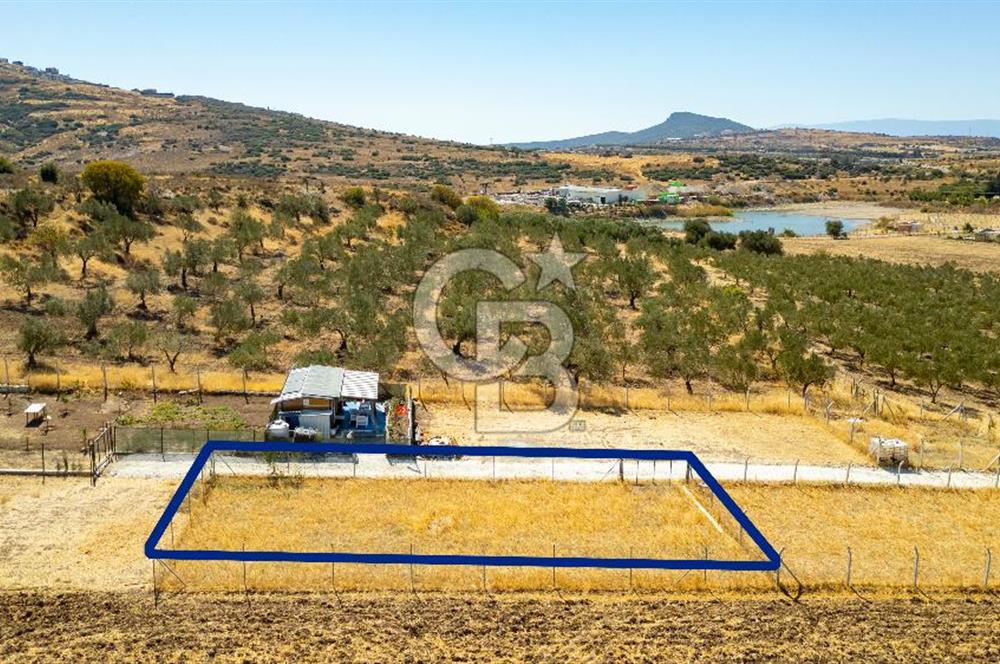 Foça Yenibağarası'nda Satılık Tarla