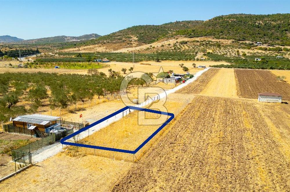Foça Yenibağarası'nda Satılık Tarla
