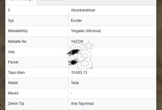 Afyon Evcilerde Satılık Tarla