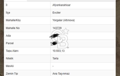 Afyon Evcilerde Satılık Tarla