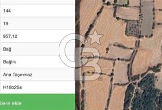 Çanakkale Biga Güvemalan köyü satılık bağ niteliğinde arsa