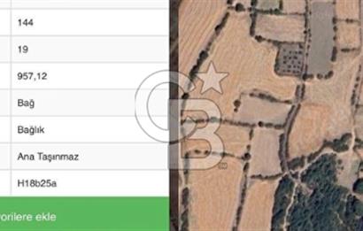 Çanakkale Biga Güvemalan köyü satılık bağ niteliğinde arsa
