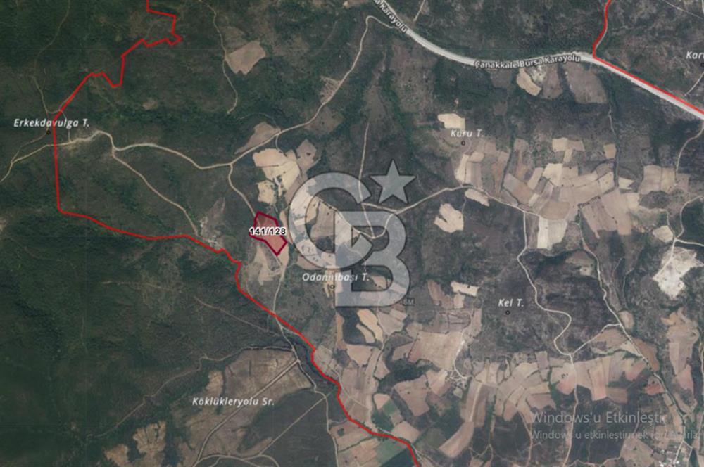 Çanakkale Lapseki Dişbudak’ta 18.920 m² Satılık Arazi